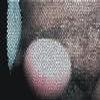 foto do perfil robertsoares